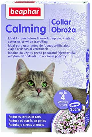 Calming collar felino